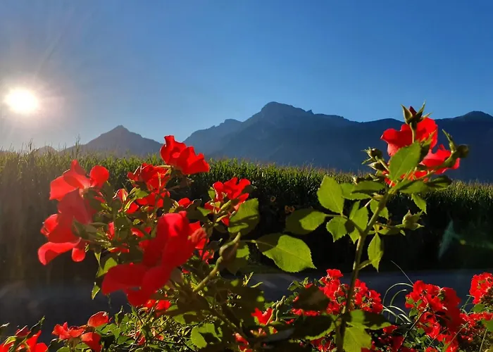 Eichenhof 아파트 *