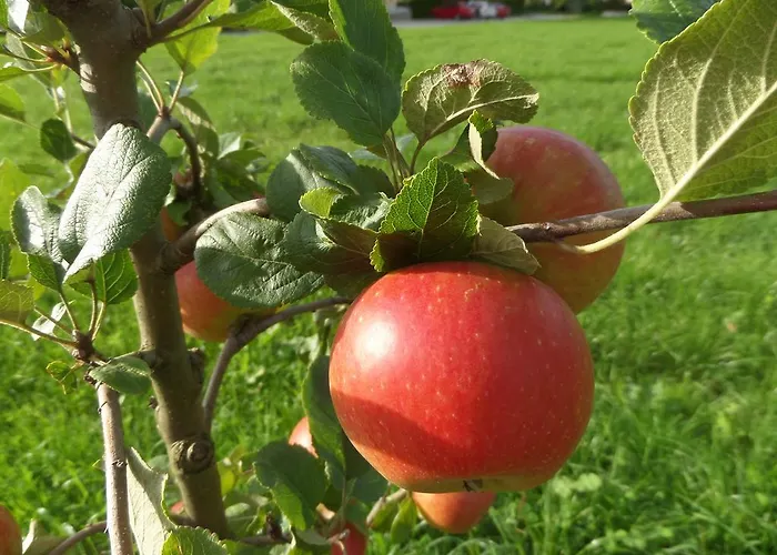 Eichenhof 아파트 *