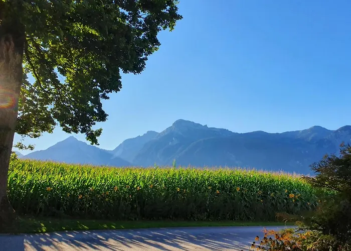 Eichenhof Appartement Reith im Alpbachtal